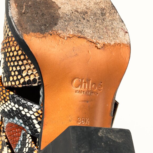 Chloe Rylee Multicolor Purple Python-Print Leather Ankle Boots - Picture 5 of 10